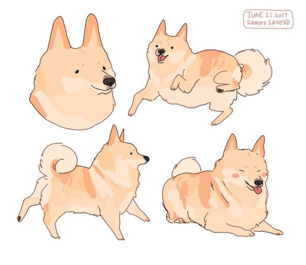 Собака самоед вектор