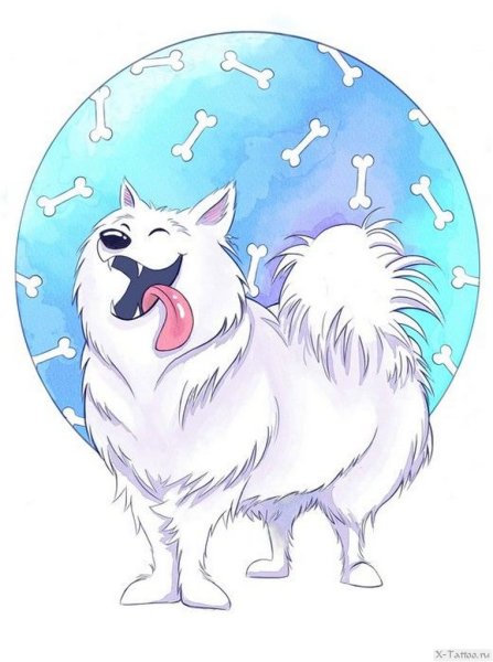 Тату шпиц эскиз