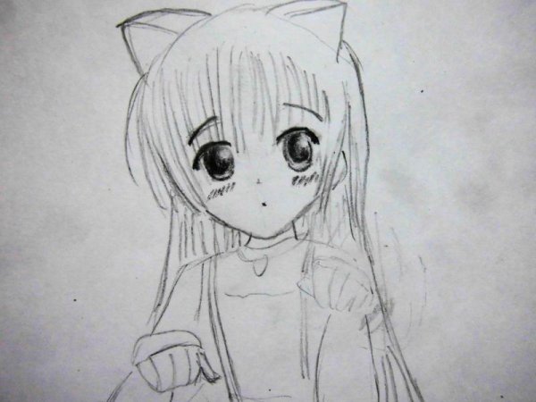 Аниме кошки карандашом