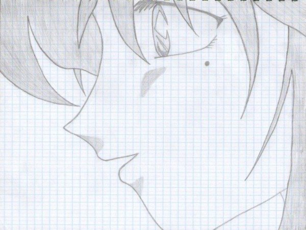 Карандашные рисунки в тетради