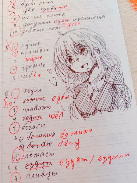 Тетрадь анимешников