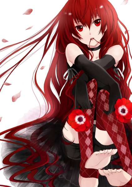 Kushia microphylla аниме