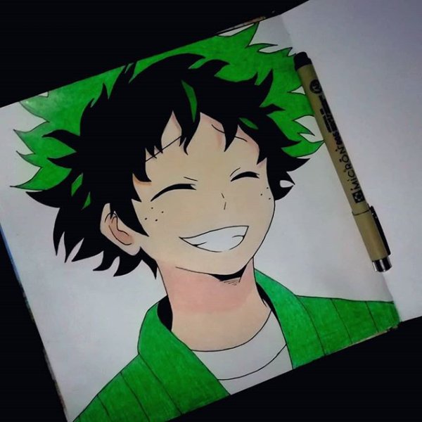 Тетрадь Мидори Изуку