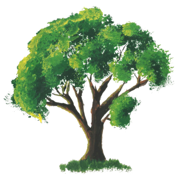 Дерево рисунок