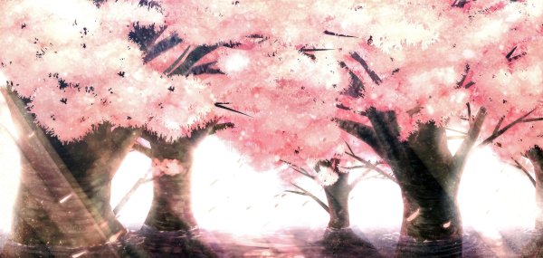 Вечноцветущая Сакура аниме