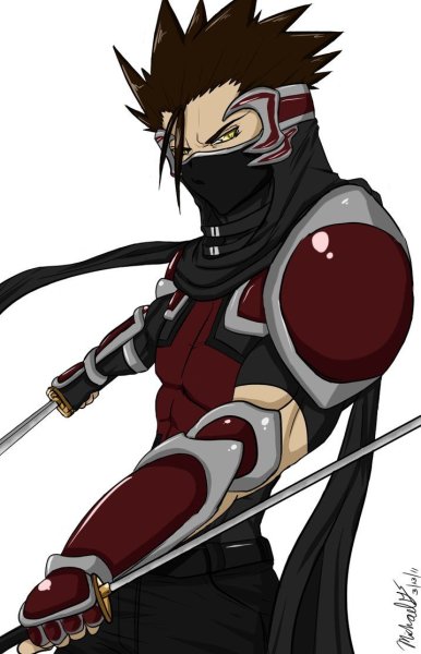 Наброски ниндзя