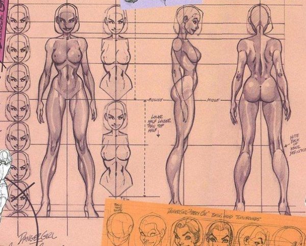 Пропорции женского тела референс