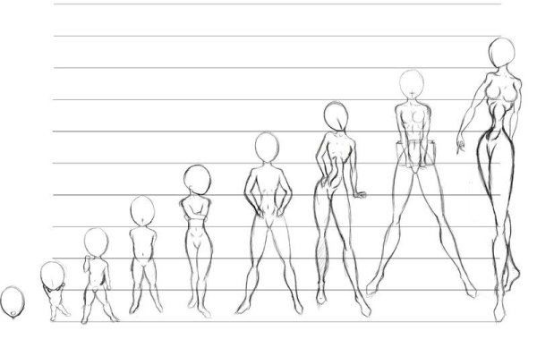 Пропорции тела человека для рисования аниме