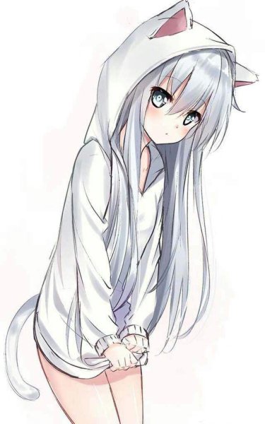 Аниме кошкодевочки