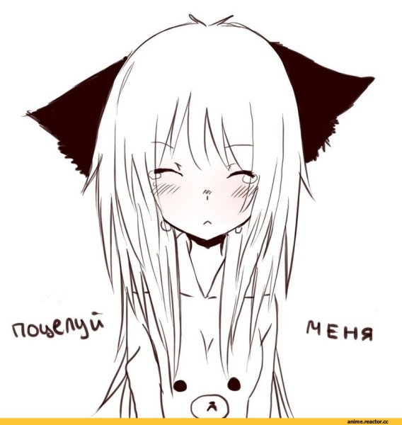 Чокола чёрно белая