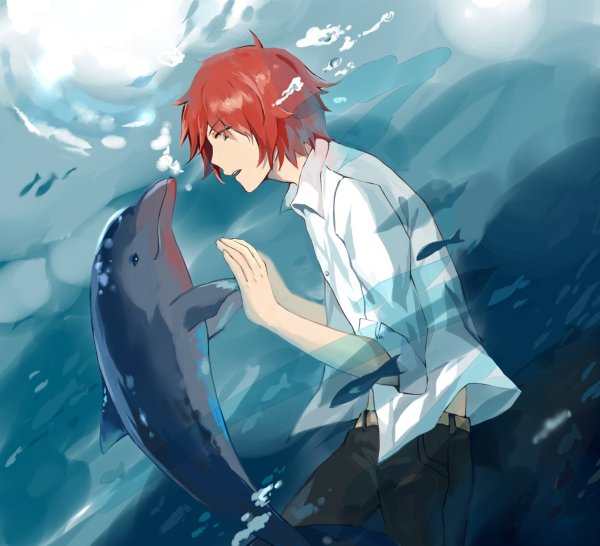 Аниме девочка Дельфин