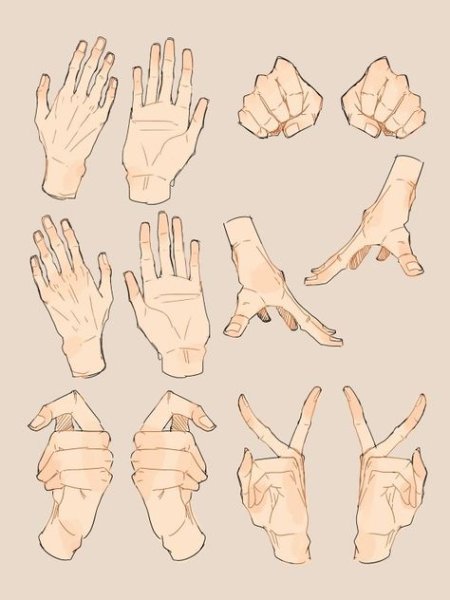 Анатомия рук кисти рук референс