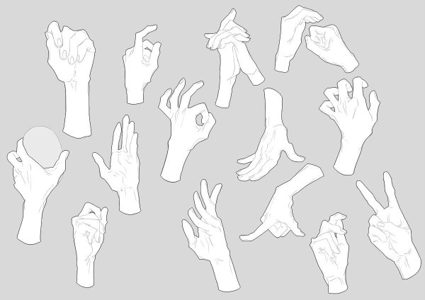Кисть руки референс