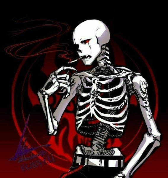 Анатомия скелета андертейл