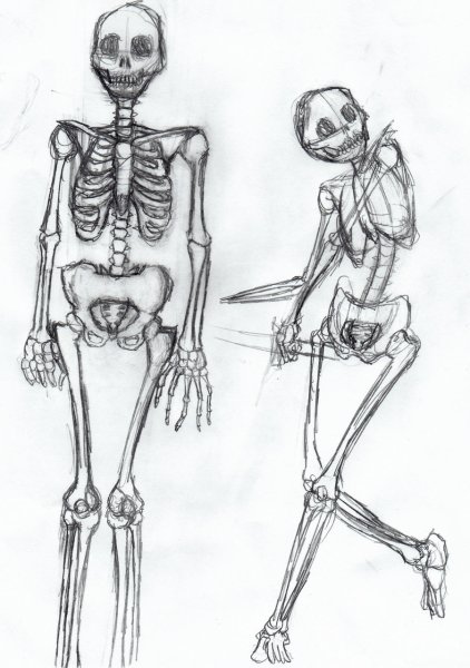 Скетчи скелета человека