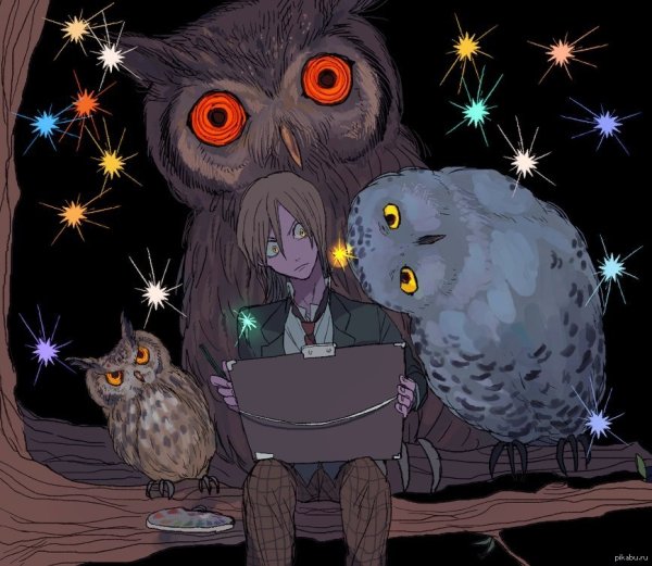 Сова аниме