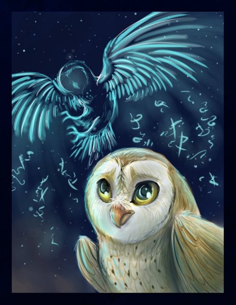 Сипуха легенды ночных стражей