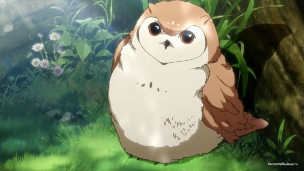 Совенок аниме