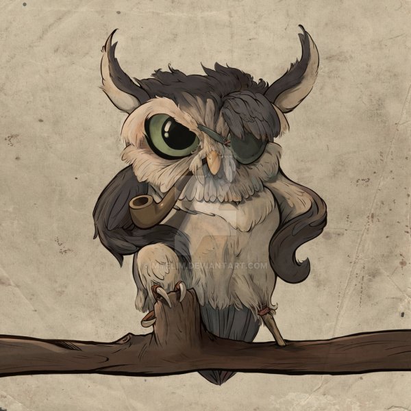 Сова пират Пабло