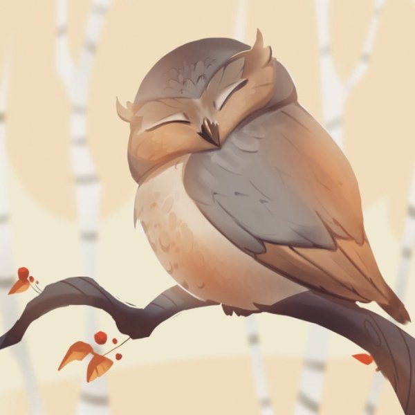 Сова рисунок аниме