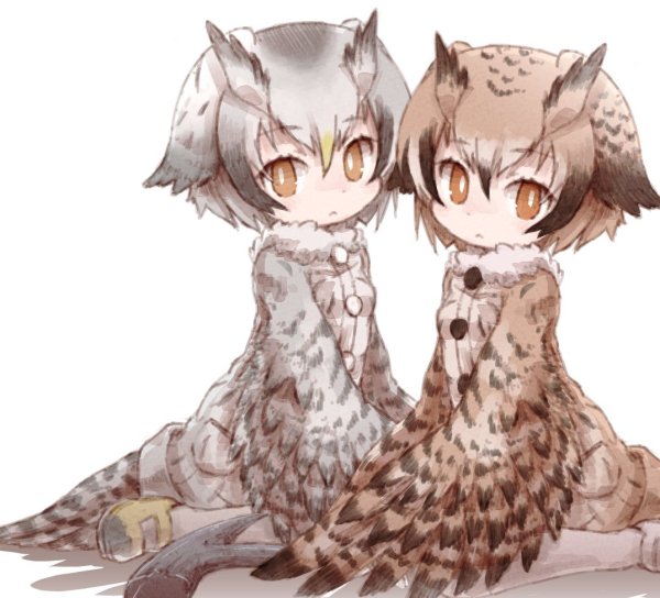 Kemono friends Совы