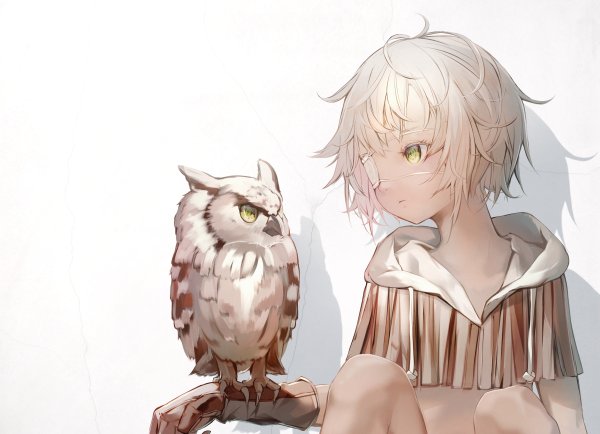 Аниме девушка Сова