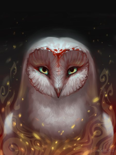 Сипуха арт фэнтези
