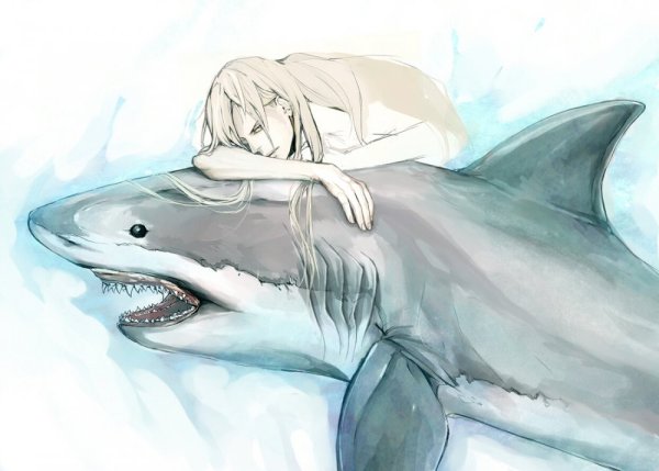 Русалка акула