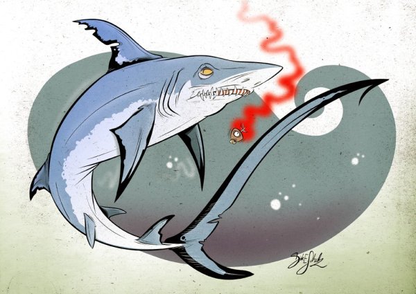 Акула рисовка