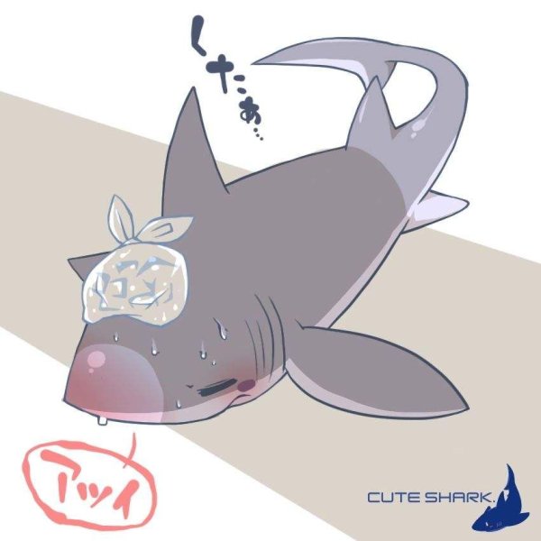 Няшные акулы