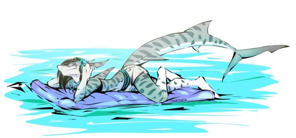 Парень акула