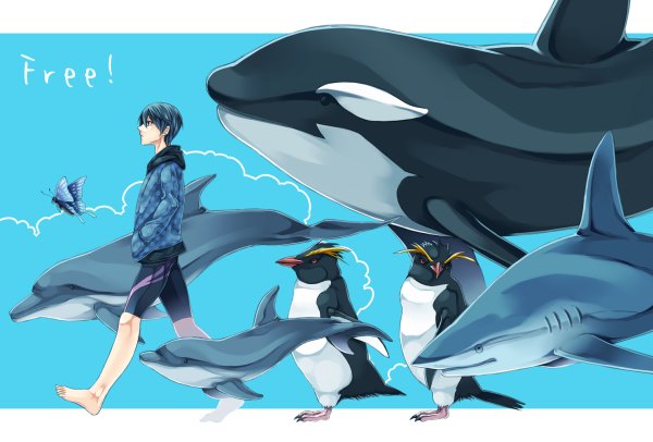 Макото и Касатка