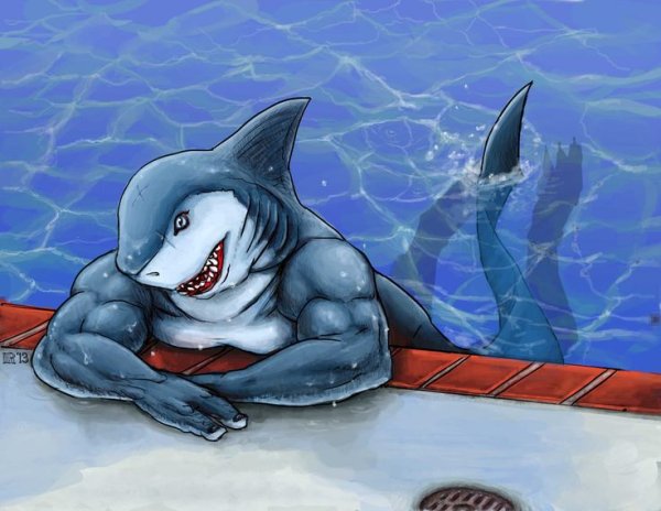 Люди акулы арты