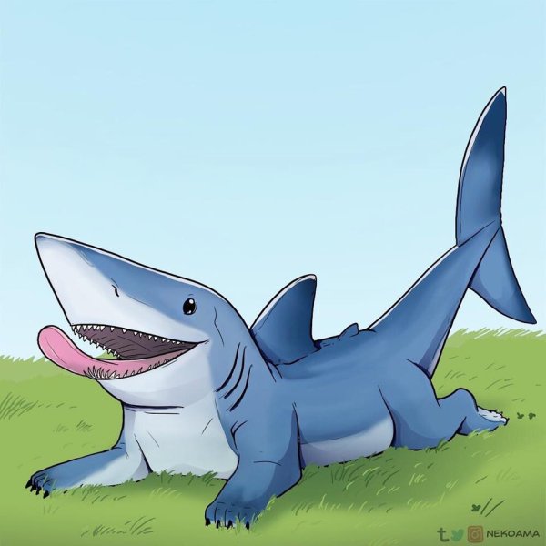 Акула Сказочная