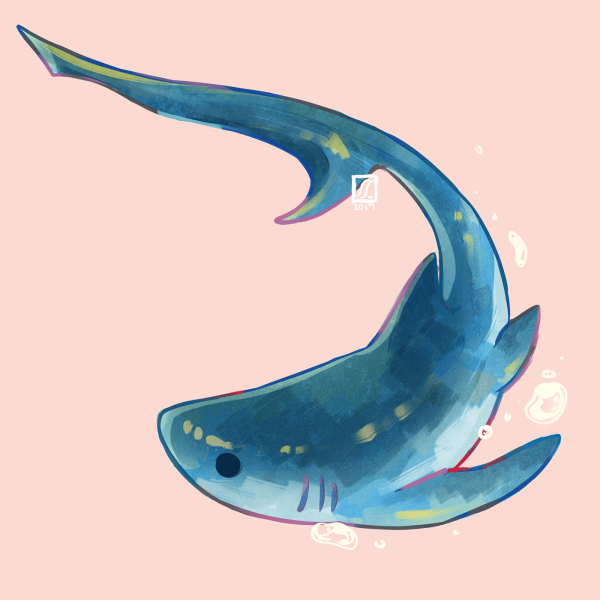 Кавайные акулы