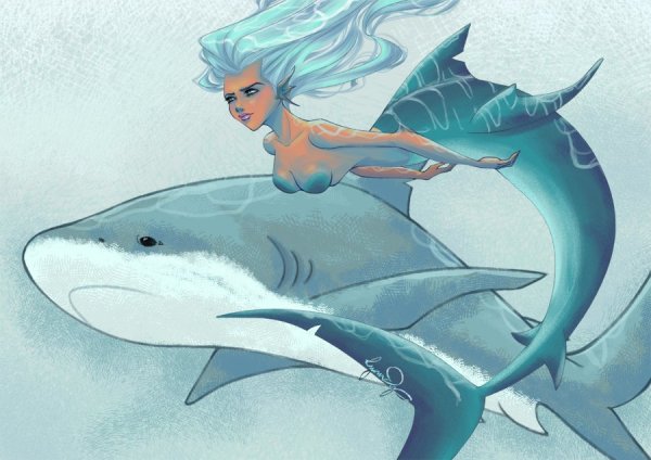 Русалка акула