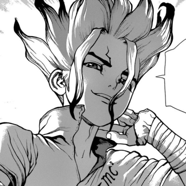 Доктор Стоун сенку черно