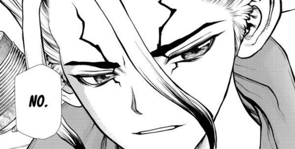 Доктор Стоун сенку чб