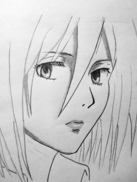 Микаса Аккерман карандашом