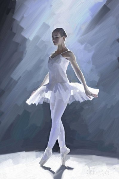 Леди баг балерина