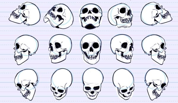 Череп Графика