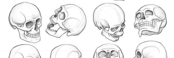 Череп человека рисунок карандашом для срисовки