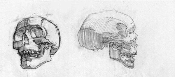 Череп рисунок