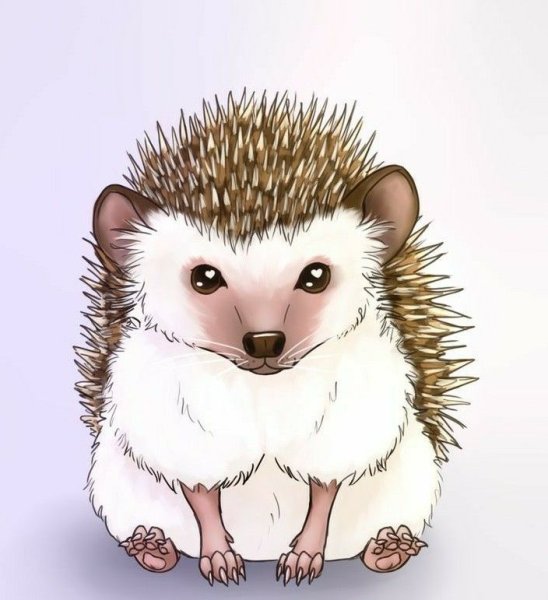 Ежики мультяшные милые