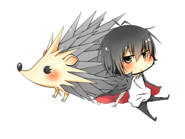 Еж Хибари ролл