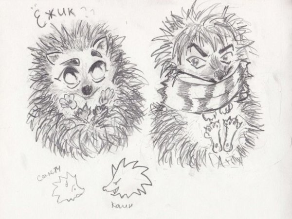 Рисунок анимешного ежика