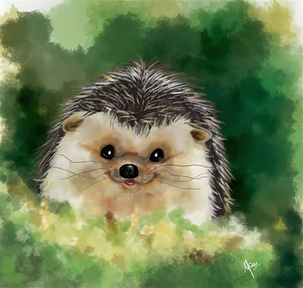 Ежик арт