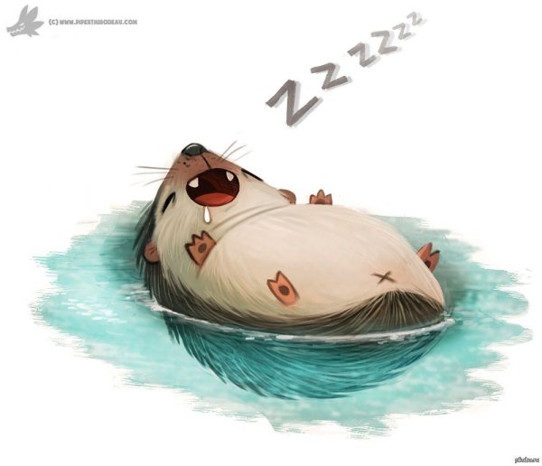 Смешной еж арт