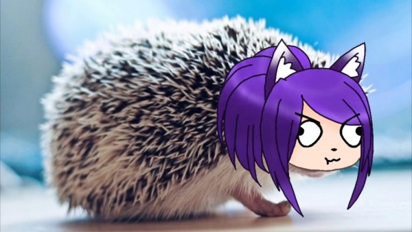 Обиженный Ёжик арты