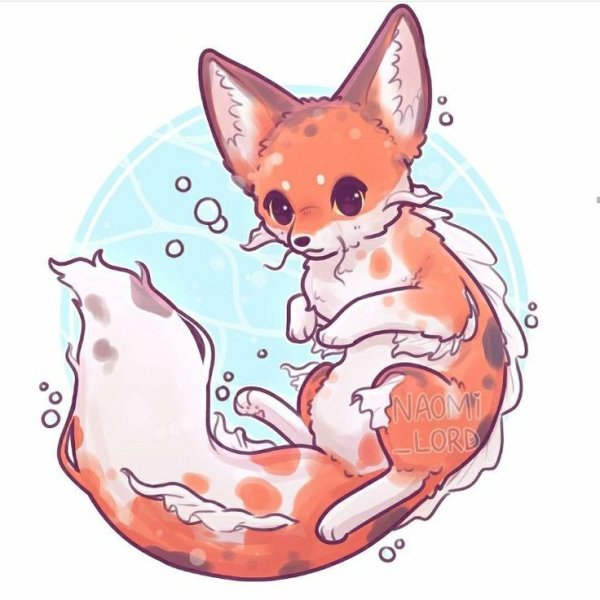 Наоми Лорд лисы стихий